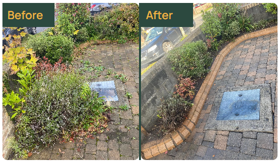 5455a629-a467-4b54-9f52-d8e2b3a0c564